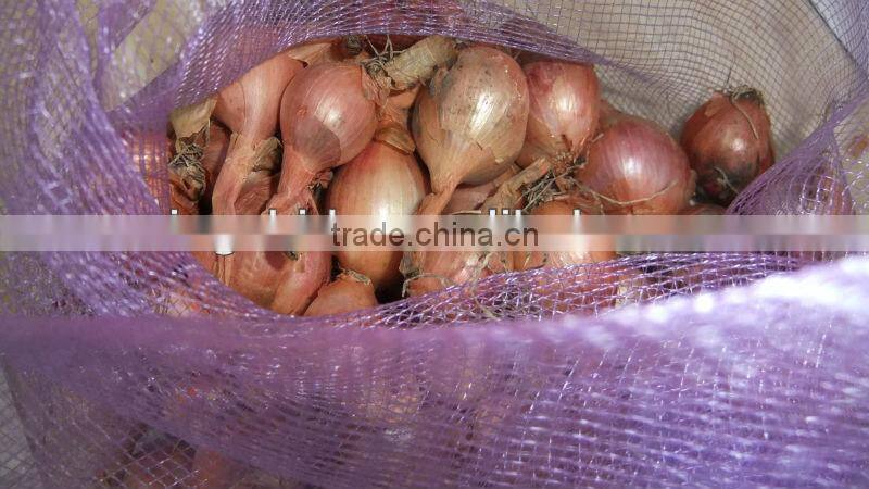 fresh onion
