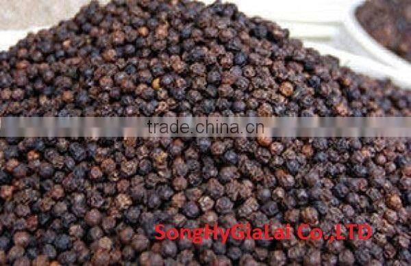 BLACK PEPPER 550GR/L CLEANED