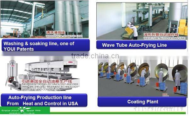 Cajun Flavored Broad Bean Chips