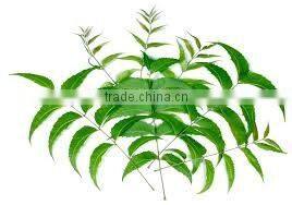 NEEM POWDER FOR AYURVEDIC REMEDY