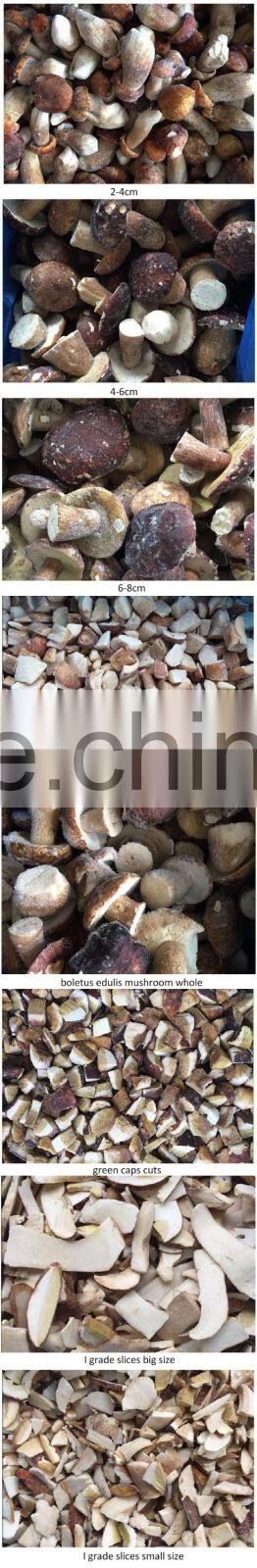 Hot sales IQF shiitake mushroom with best price