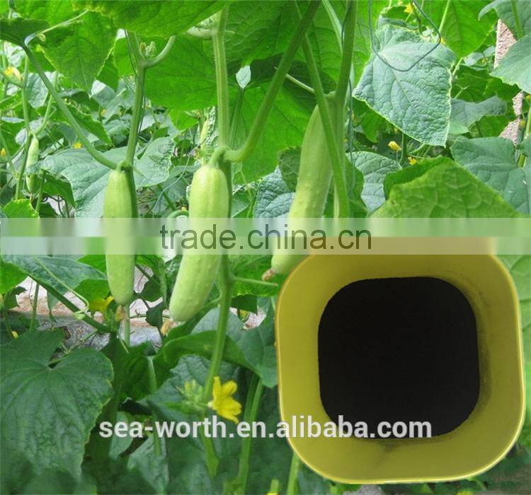 Best sell water soluble humic acid sodium with SGS