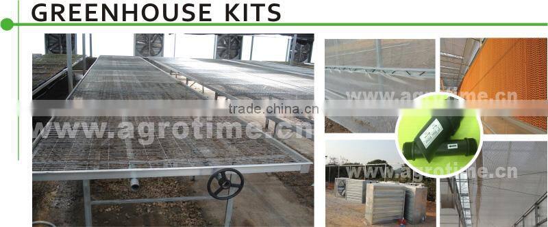 China Venlo Glass Greenhouse