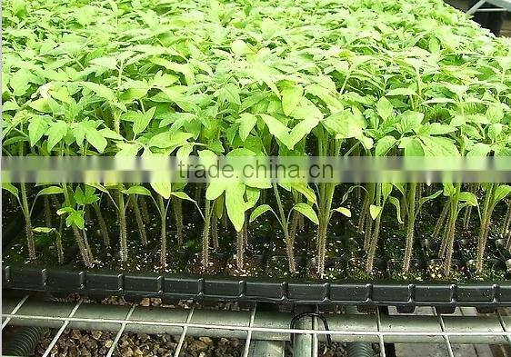 plastic cell tray flower seed tray