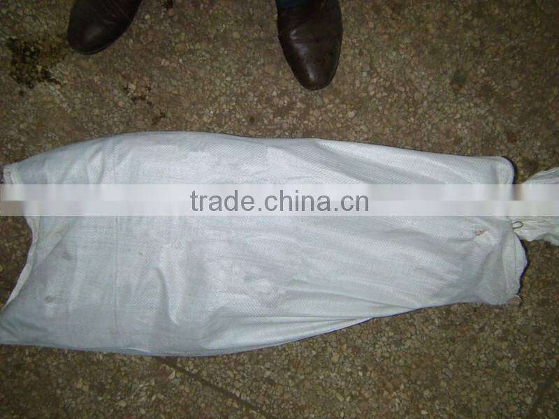 Frozen Yellowfin Tuna