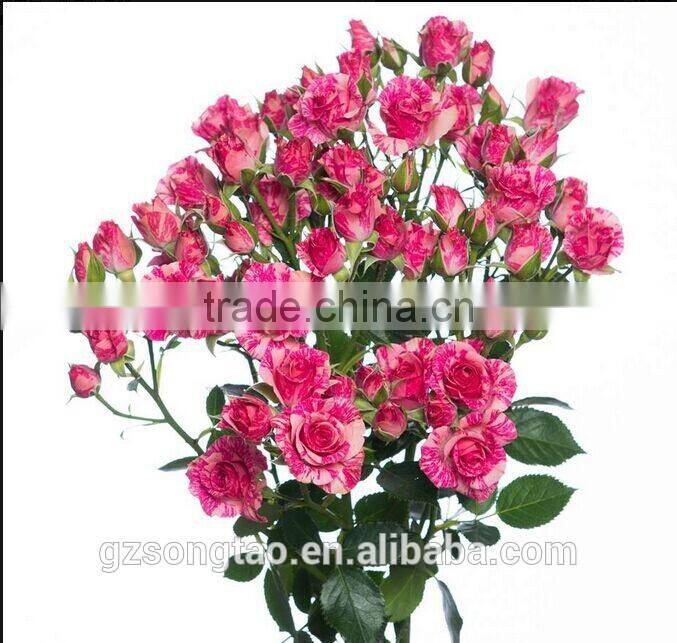 Latest artifiicial rose mixed rose flower table decorations centerpieces wedding