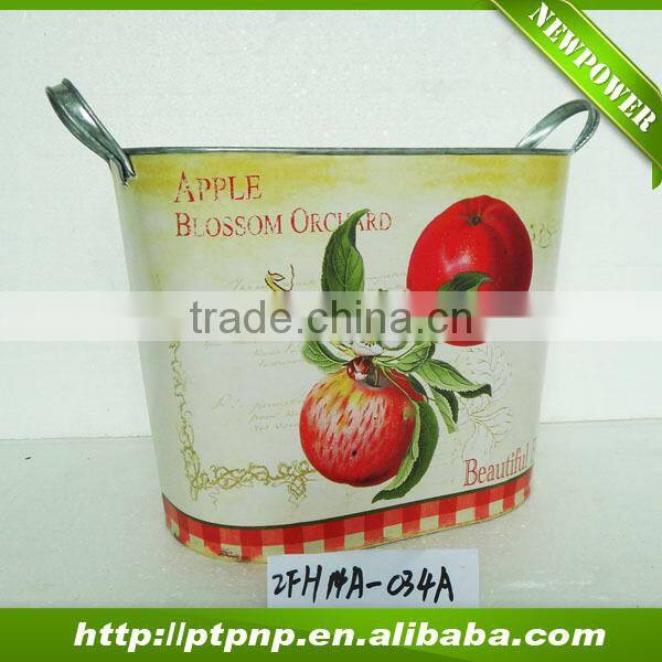 Fruit Design Metal Vertical Garden Planter with handle