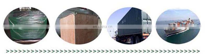 EPS205 / BF200 common rail injector tester with small size EPS205 tester for common rail injector testing