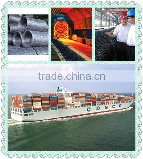 Hot Rolled wire rod, SAE 1008 wire rod, mild wire rods