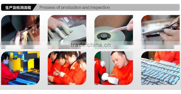 Razorline CK9 5.75" Sharp Hair Scissor