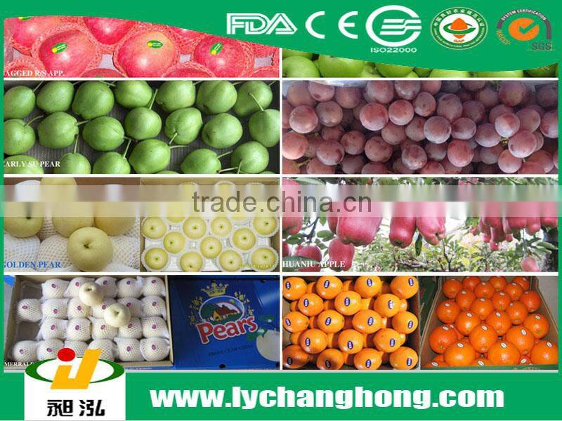 Fresh early-mature su pear supplier in China