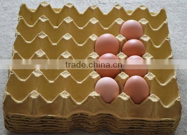 Mold recycle biodegradable molded fiber paper pulp egg trays price for sale manufacturers