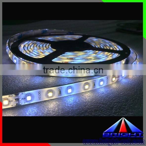 China Wholesales 60leds/m 14.4w CCT Adjustable Flex LED Strip 2835
