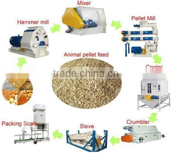 Professional poultry feed production plant