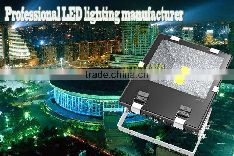 China supplier waterproof ip65 outdoor led flood light 100w