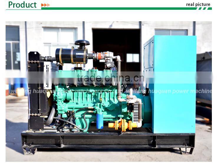 CE Approve small power biogas generator 50kw