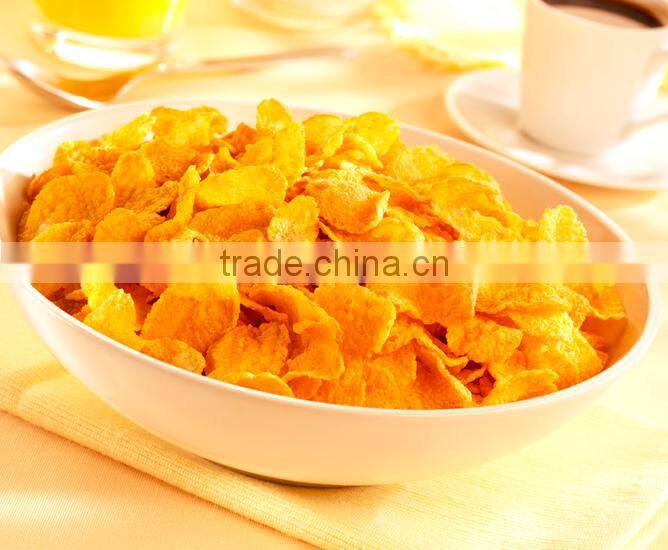 High Quality Breakfast Flavoring Machine/Breakfast Flavoring Machine/Corn Flakes Flavouring Machine