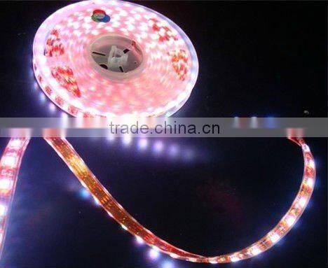 2015 motorcycle license plate light