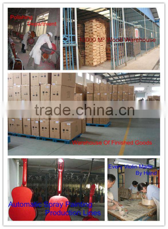 The 2013 new beautiful fashion colorful electric voilin SVE500