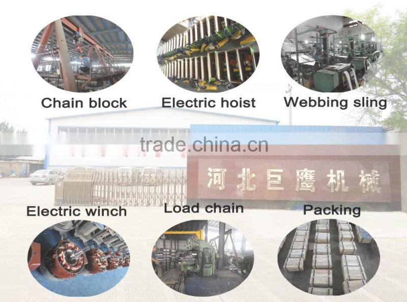 Portable 220v PA type small 250kg electric hoist