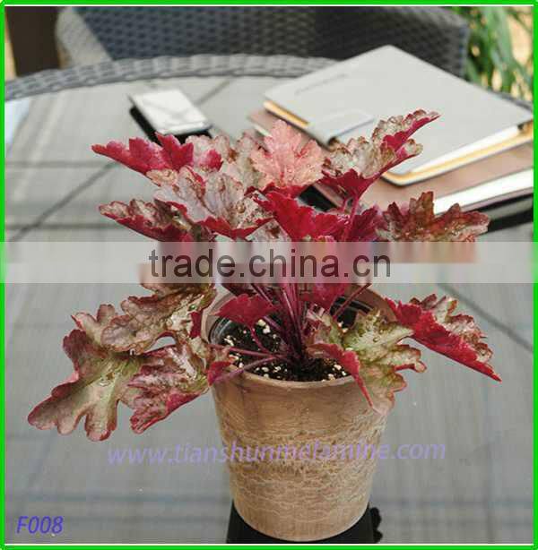 Classic indoor plant holders, decorative flower pots