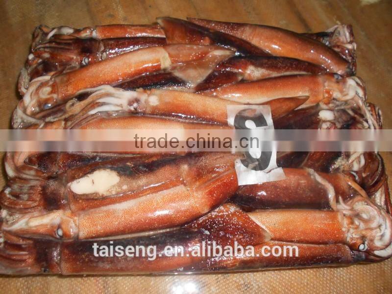 Illex argentinus squid jigs 300-400g bait fish for Tuna