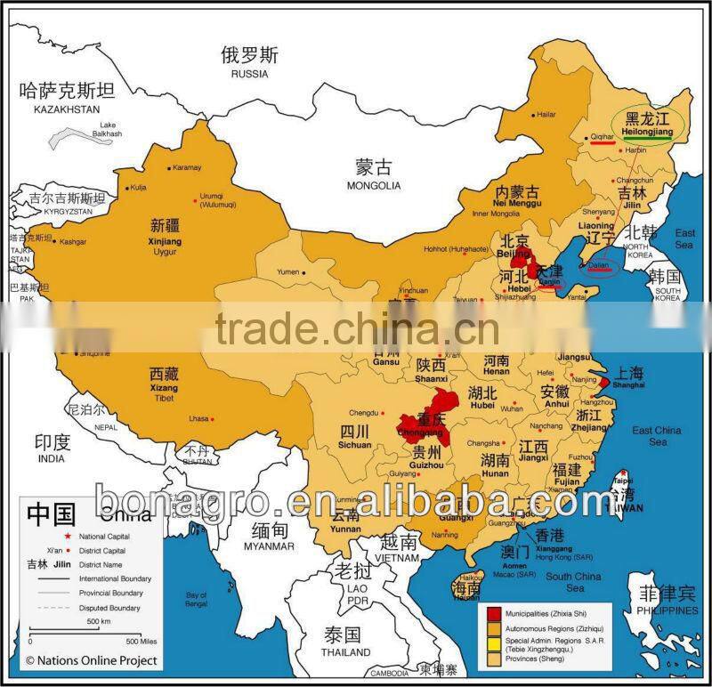 Chinese 2012 crop Dried Dark Red kidney bean, british type