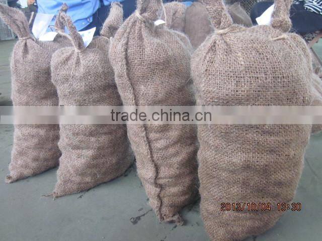 chestnut , fresh chestnut