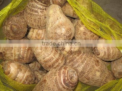 fresh taro