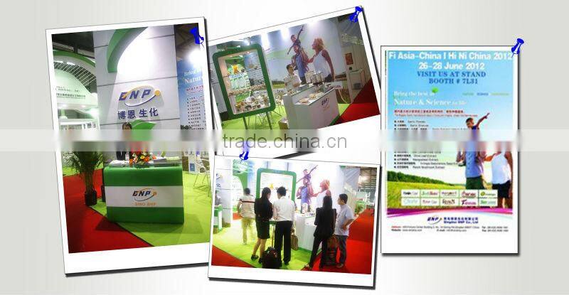 BNP Supply High Quality Galric Tablet & Capsule