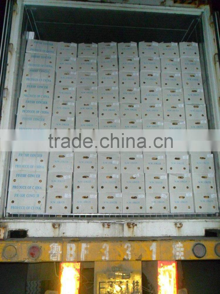 China air dried fresh ginger