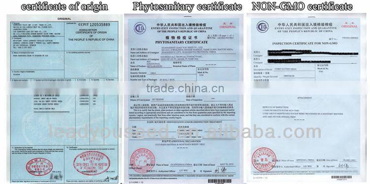 JON01 Round shape very hot sale planting seeds for onion seeds prices