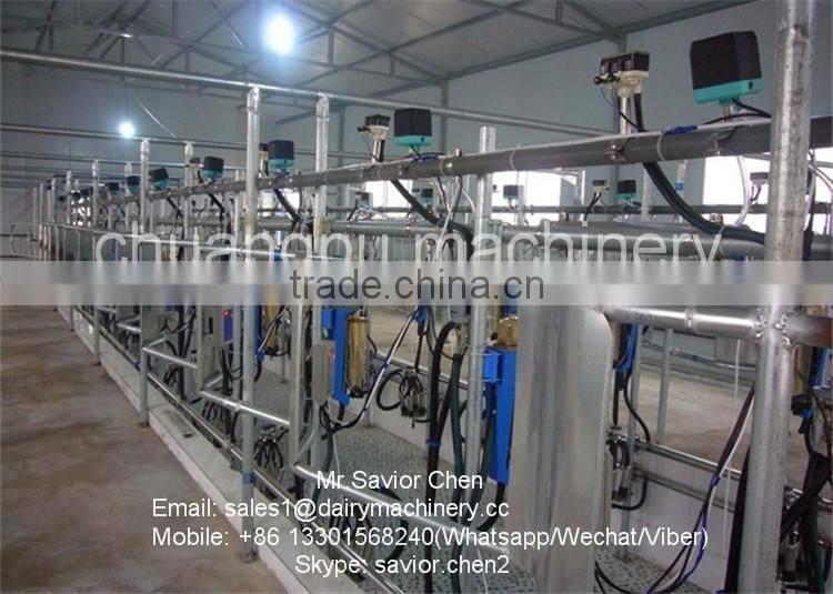 Dairy Farm Automatic Milking System , Milking Parlor For Cow