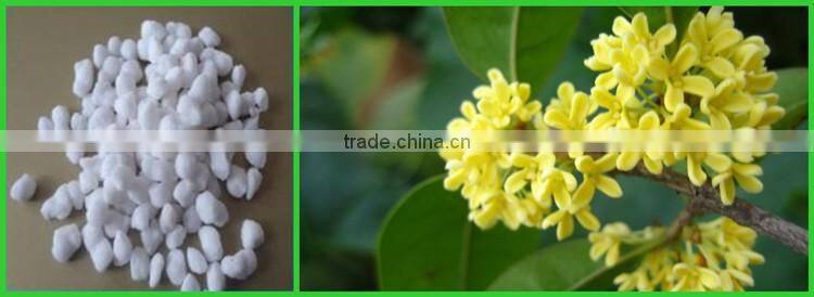 N21% granular white ammonium sulphate
