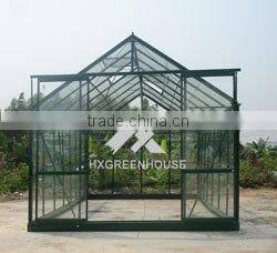 Planting Tomatos in the tomato Greenhouse