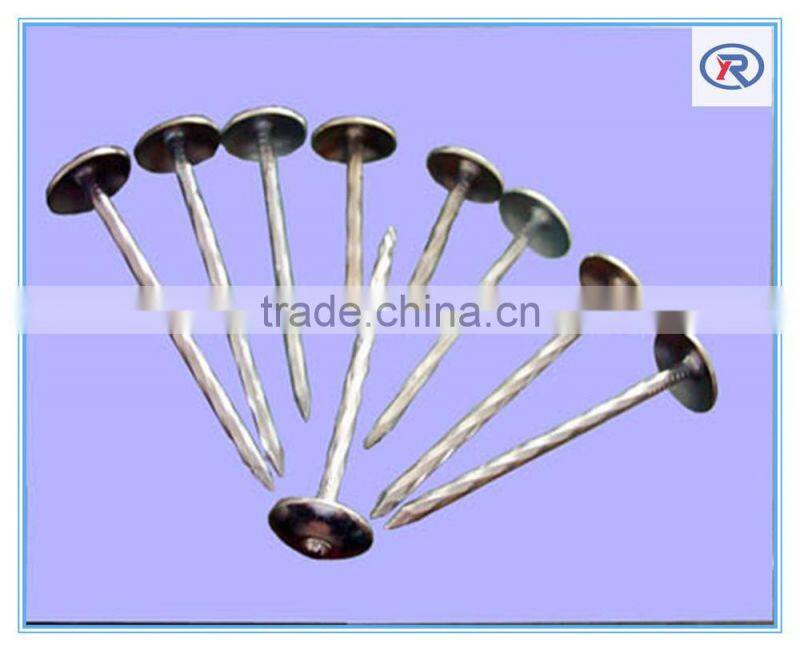 Seamless steel Tube or pipe