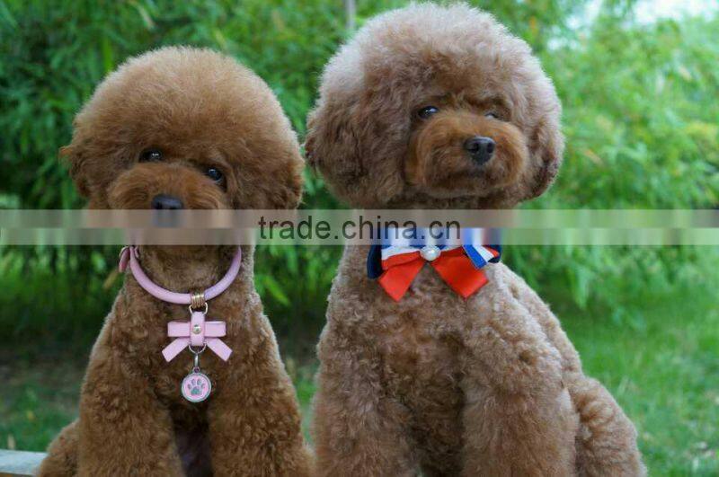 Long-Term Wholesale Pet Toy Foam Ball