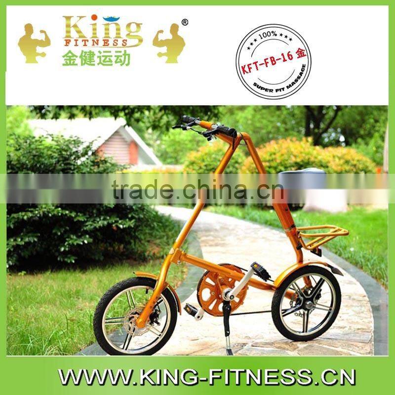 Chinese factory mini foldable bike