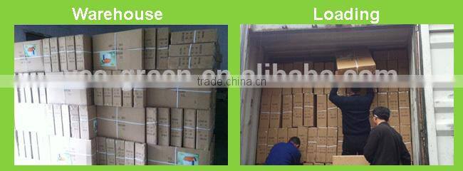 Easy Assembly Plastic Dog House/ Plastic Dog Cage/ Plastic Pet House