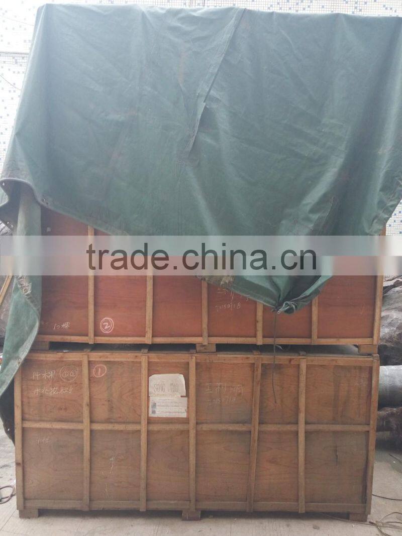 Customize plastic animals garden decoration artificial topiary