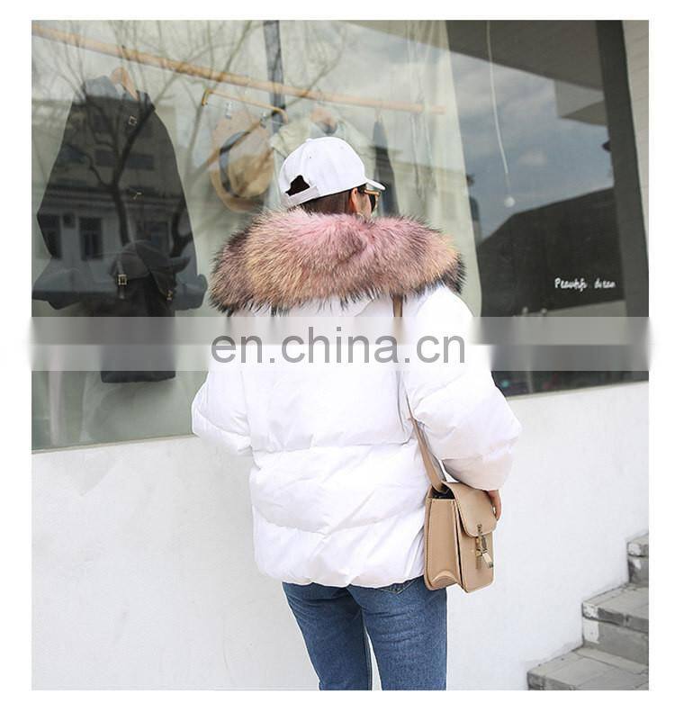 2017 Hot Selling New Design Women Real Big Raccoon Fur Collar New Down Coat