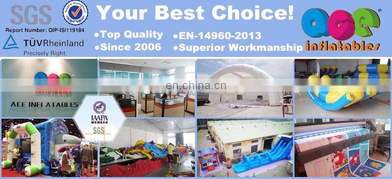 Commercial grade classic inflatable dry slide