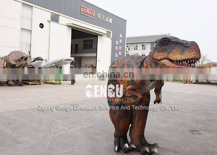 Dorothy The Dinosaur Costume For Adult