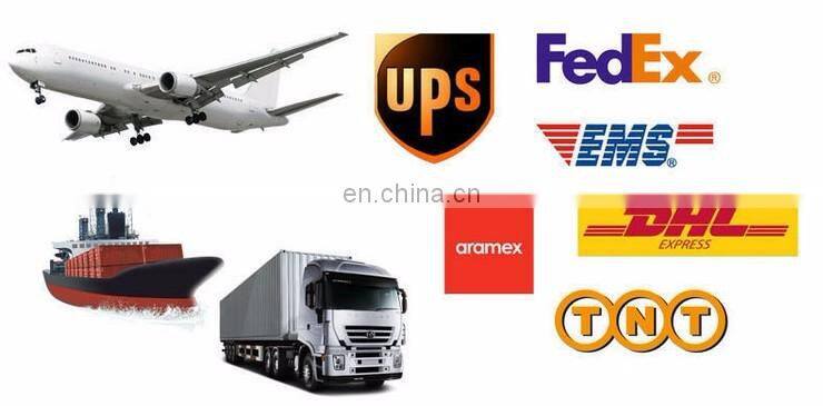 New Custom Inflatable Dried Sea Horse Fish for Sale, LED Light Change Hippocapus/ Wedding Lighted Balloons