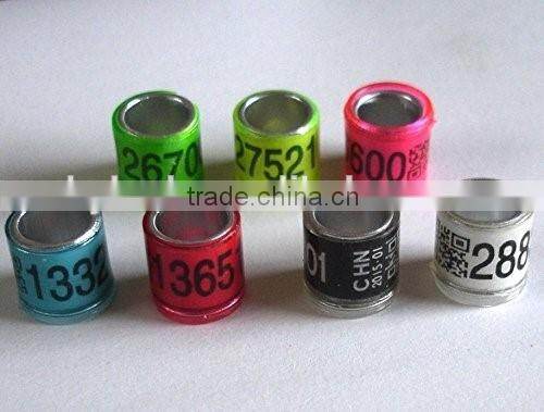 Address Ring for Pigeon