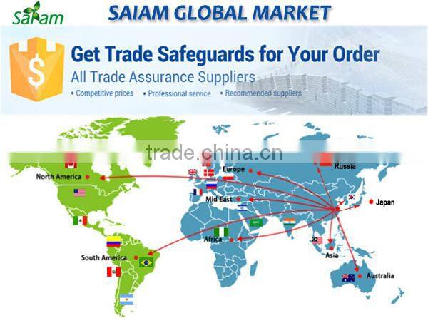 Chinese 3000w max 4800w dc motor wind turbine