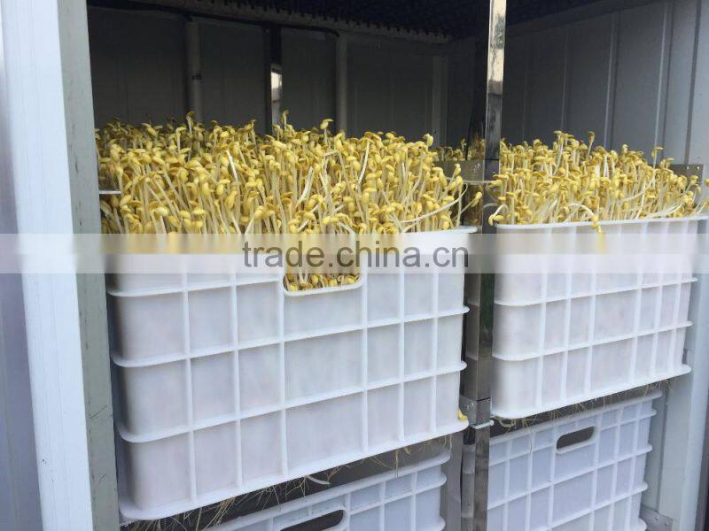Automatic Bean Sprout Machine With CE