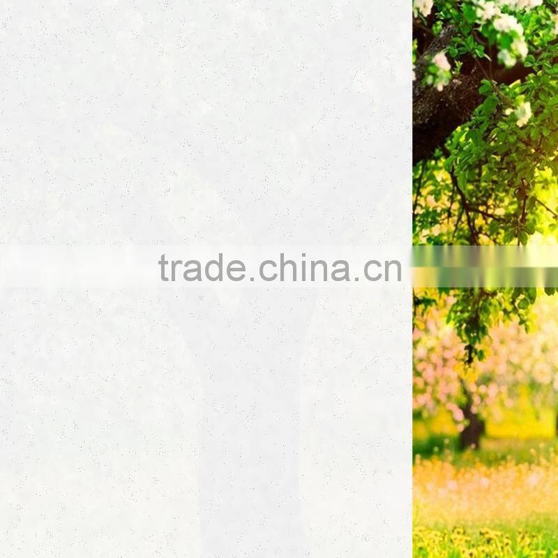 Building Glass Film light diffusing window film