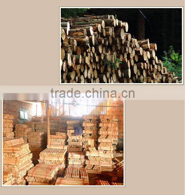fashionable crackle wooden floor vase for home decor