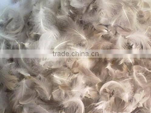 Washed Grey Duck Feather And Down 2-4cm/6cm/ 8cm